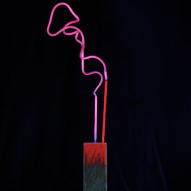 Marco Guglielmino_Flamingo_Glass, Neon Gas, Mercury, Pigmented Resin, and Aluminum_35×11×9in_2015